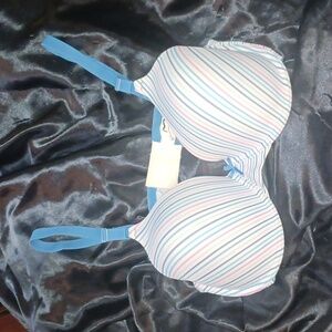 Striped Maidenform Bra 40DD